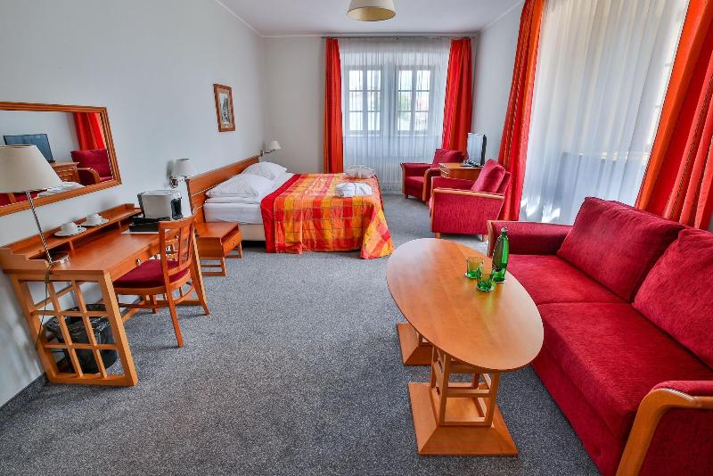 LH Hotel Dvorak Tabor - Oda