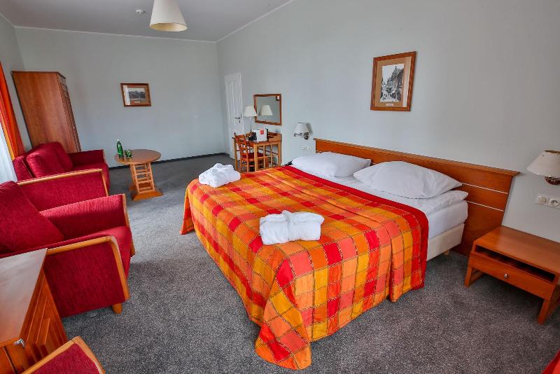 LH Hotel Dvorak Tabor - Oda