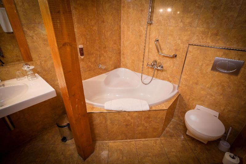 LH Hotel Dvorak Tabor - Oda