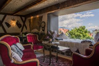 Alp Art Hotel Goetzens fotoÄŸrafÄ±