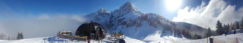 Alp Art Hotel Goetzens - Aktivite