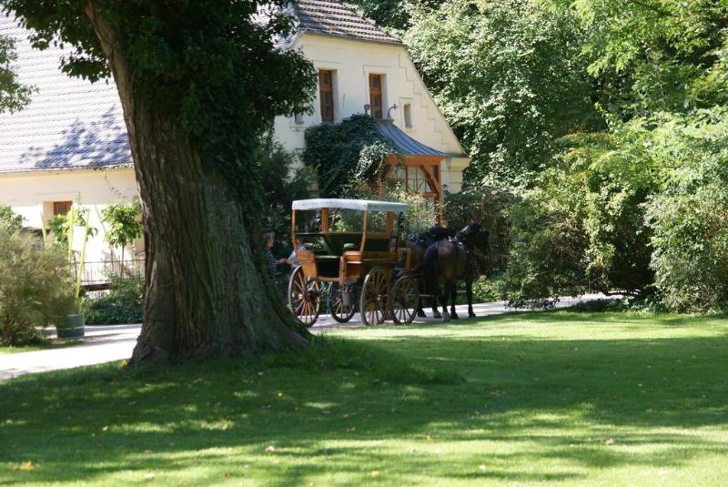 Kulturhotel Furst Puckler - Genel