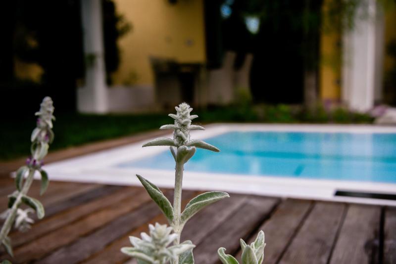 Hotel Palazzo Della Scala - Teras