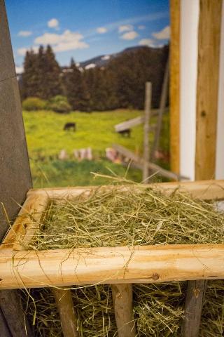 Berghoteltirol fotoÄŸrafÄ±