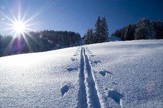 Berghoteltirol fotoÄŸrafÄ±