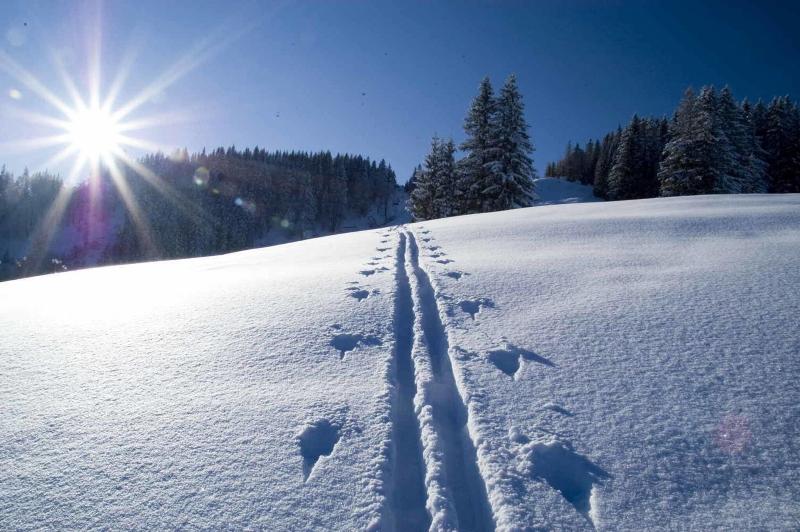 Berghoteltirol - Genel