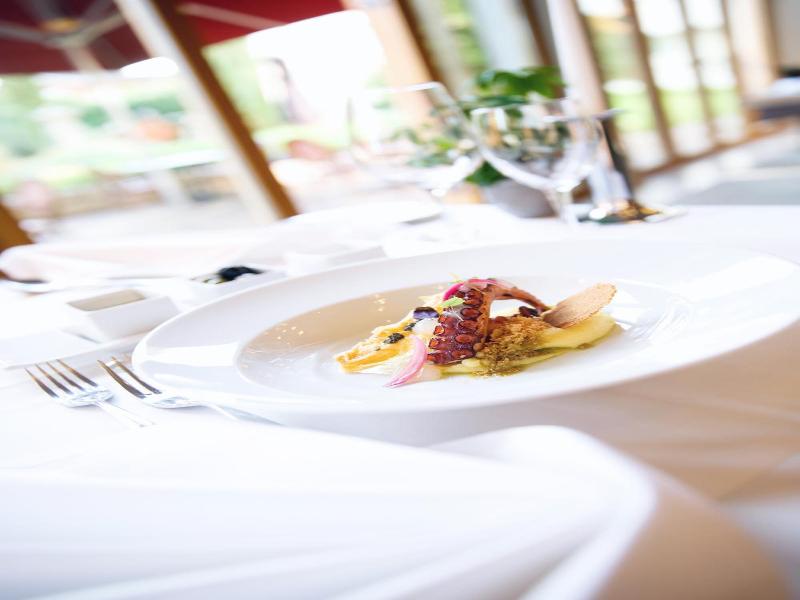 Hotel Villa Medici - Genel
