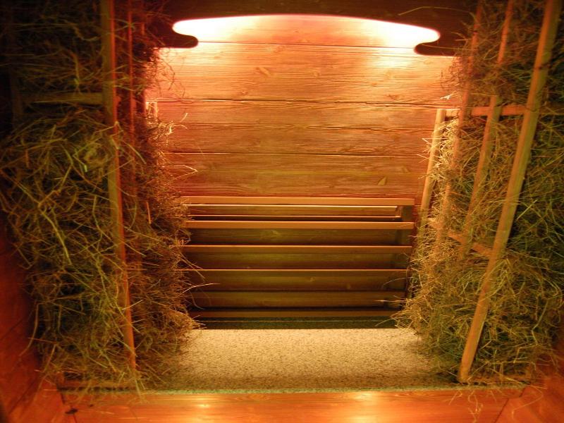 Landhotel Altes Zollhaus - Genel
