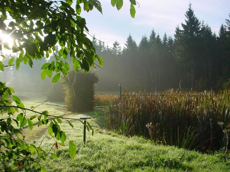 Landhotel Altes Zollhaus - Oda