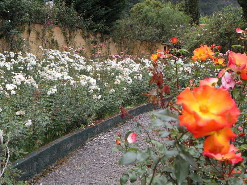 Pestana Quinta Do Arco fotoÄŸrafÄ±