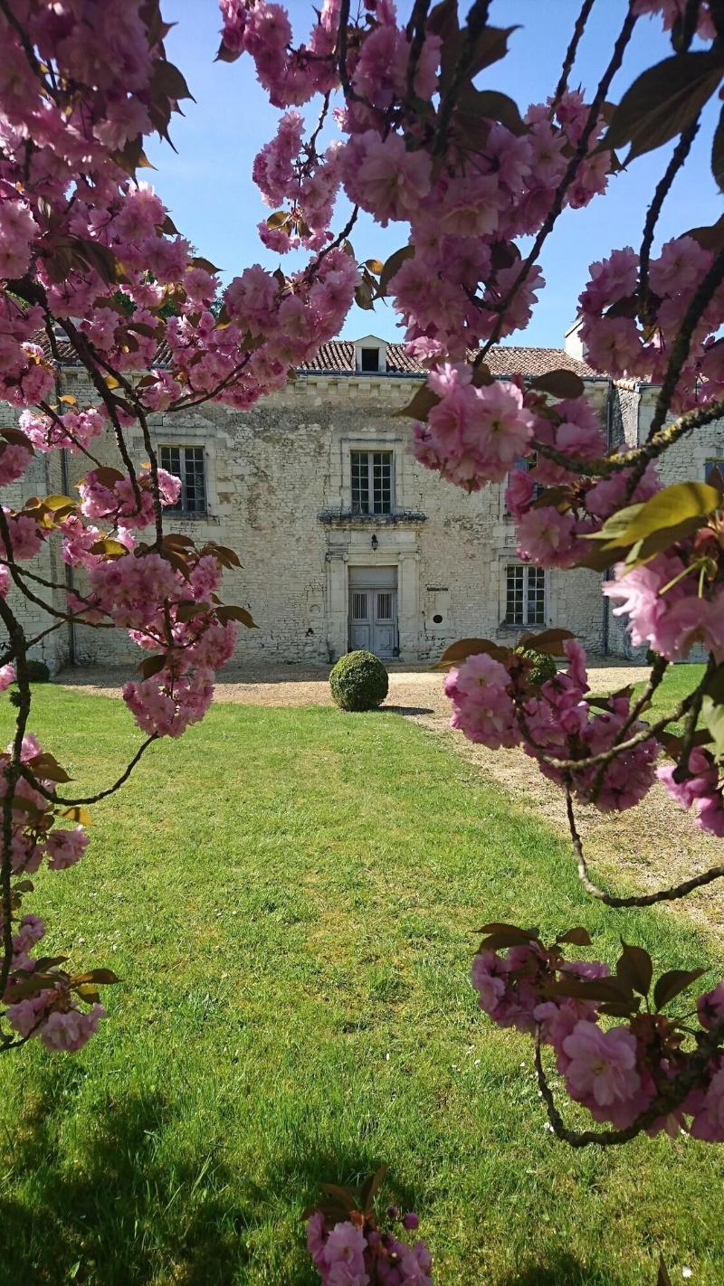 Domaine De Bourgville - Genel