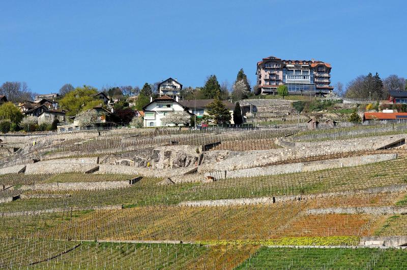 Hotel Prealpina - Genel