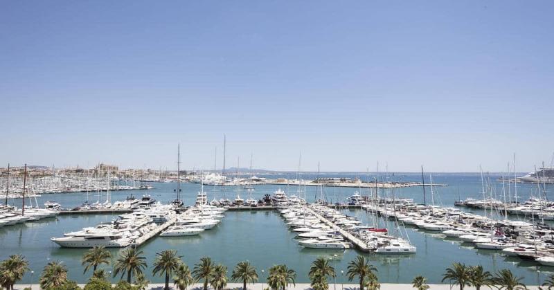 Melia Palma Marina - Genel