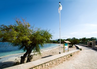 More fotoÄŸrafÄ±