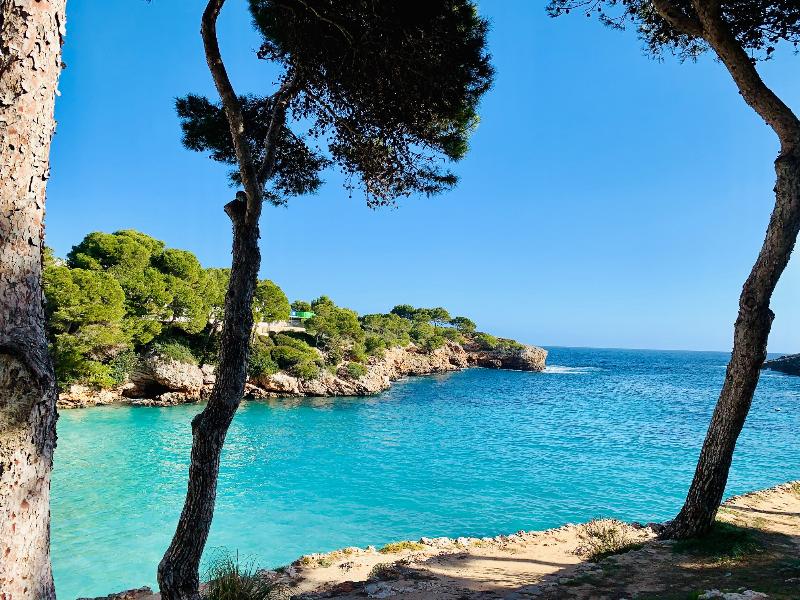 Calimera Fido Gardens - Family Hotel**** - Plaj