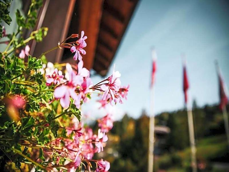 Hotel Restaurant Bürchnerhof - Genel