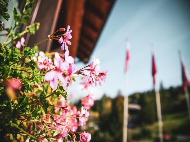 Hotel Restaurant Bürchnerhof - Genel