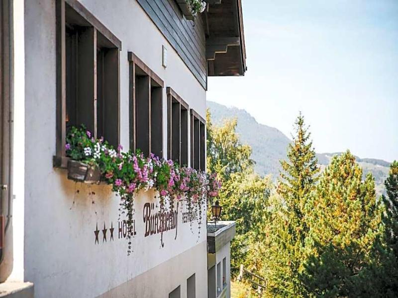 Hotel Restaurant Bürchnerhof - Genel