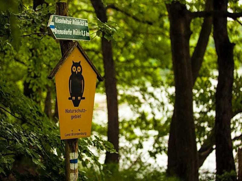 Waldsee Hotel Am Wirchensee - Genel