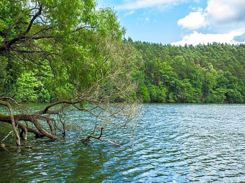 Waldsee Hotel Am Wirchensee - Genel