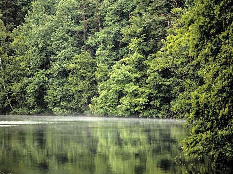 Waldsee Hotel Am Wirchensee - Genel