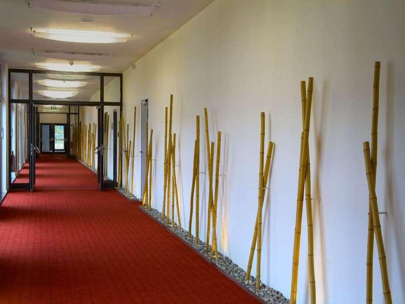 The Monarch Hotel Bad Gogging - Genel