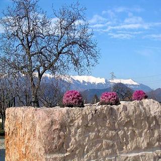 Col Delle Rane fotoÄŸrafÄ±