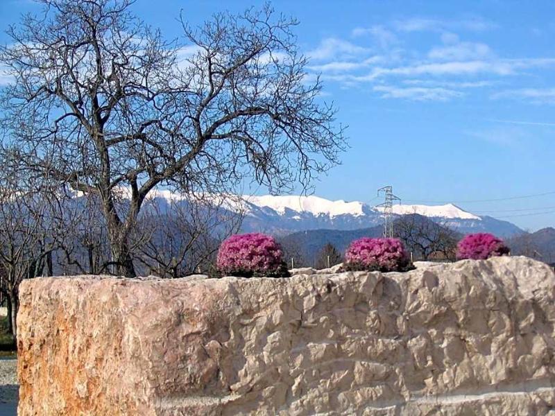Col Delle Rane - Genel