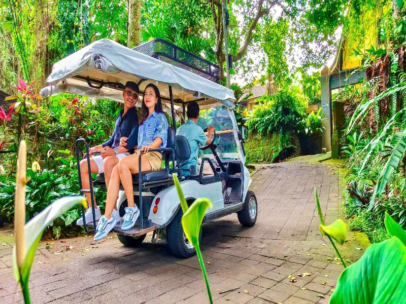 Ubud Heaven Penestanan - Genel