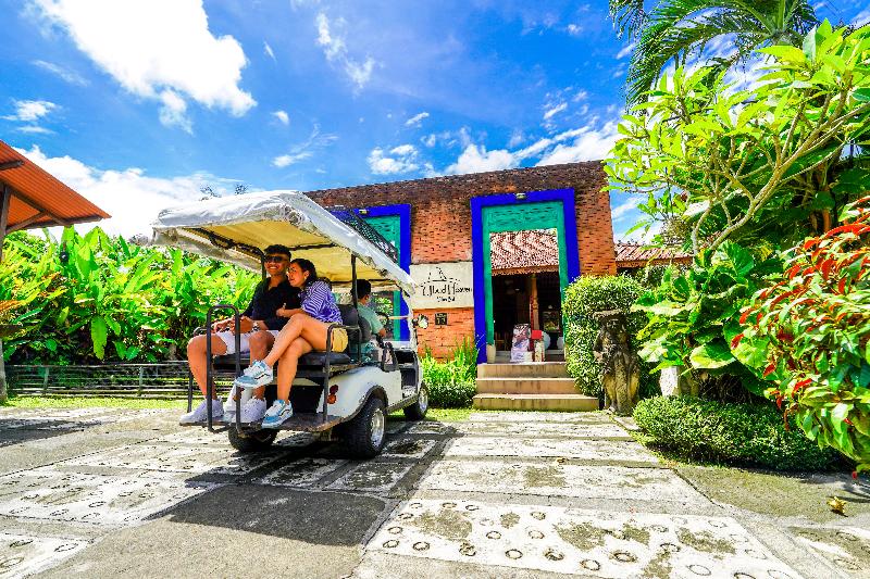 Ubud Heaven Penestanan - Genel