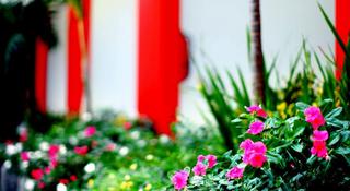 Ozz Hotel Kuta fotoÄŸrafÄ±