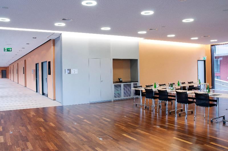 Holiday Inn Zurich Messe - Toplantı