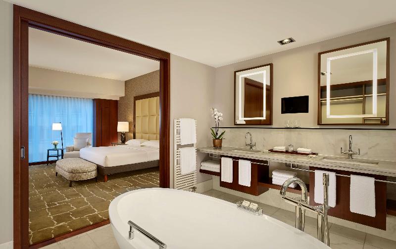 Park Hyatt Zurich - Oda