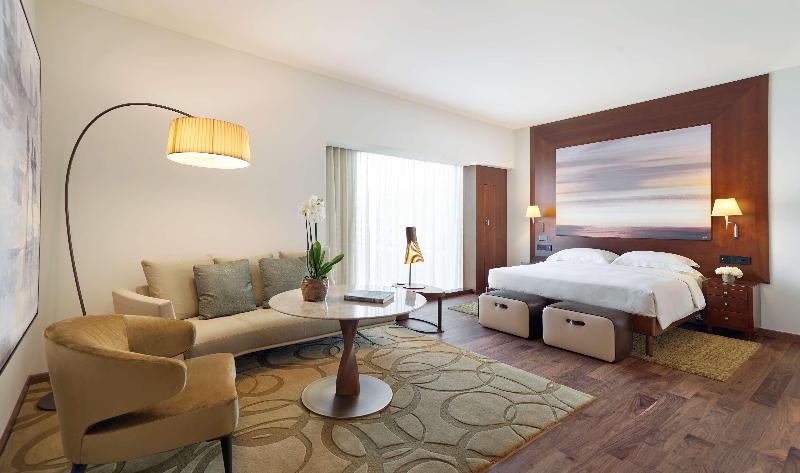 Park Hyatt Zurich - Oda