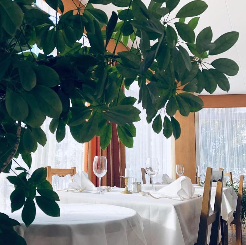 Hotel Regina Terme - Restoran