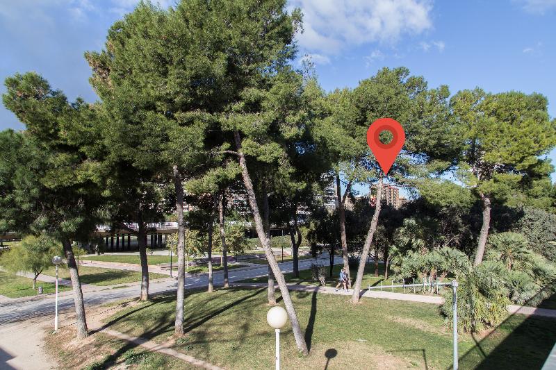 Pio XII Apartments - Aktivite