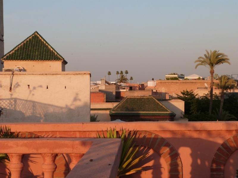 Riad Habib - Genel