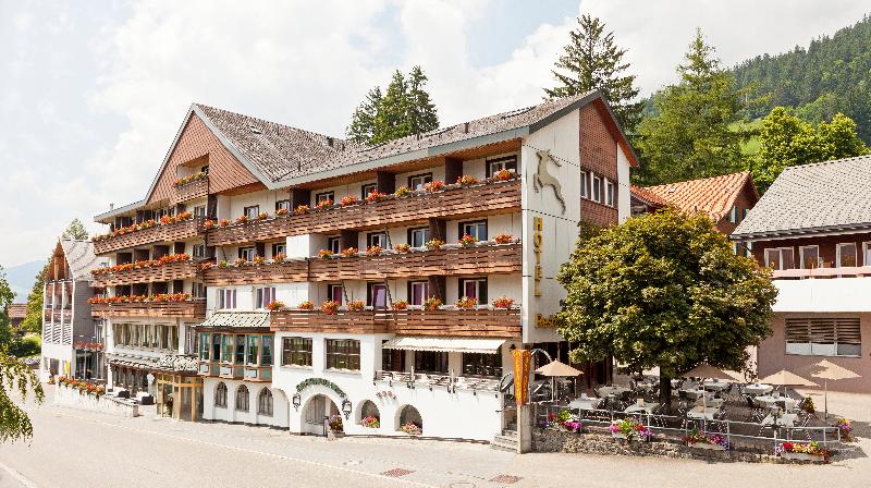 Hirschen Wildhaus Swiss Quality Hotel - Genel