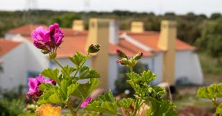 Monte do Giestal - Casas de Campo & SPA fotoÄŸrafÄ±