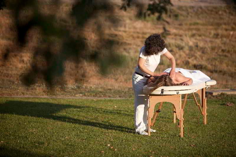 Monte do Giestal - Casas de Campo & SPA - Genel