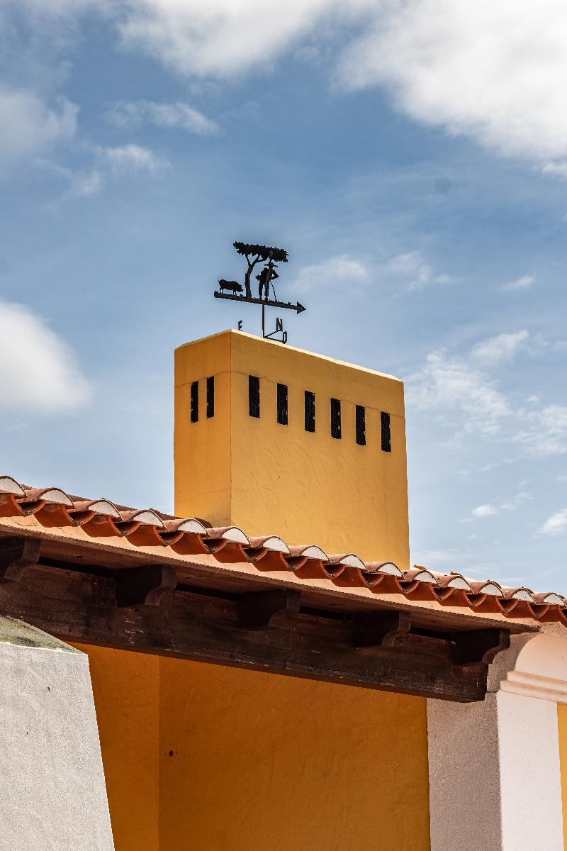 Monte do Giestal - Casas de Campo & SPA - Genel