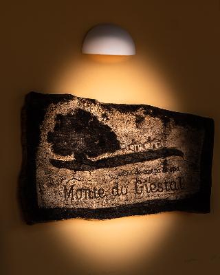 Monte do Giestal - Casas de Campo & SPA fotoÄŸrafÄ±