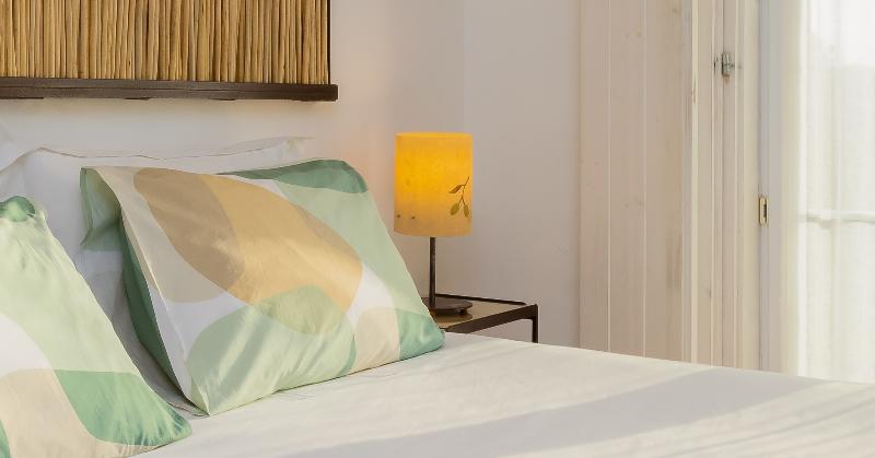 Monte do Giestal - Casas de Campo & SPA - Oda