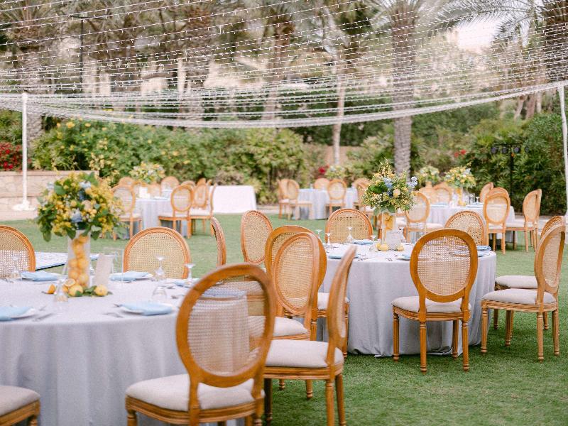 Sofitel Dubai The Palm Resort & Spa - Toplantı
