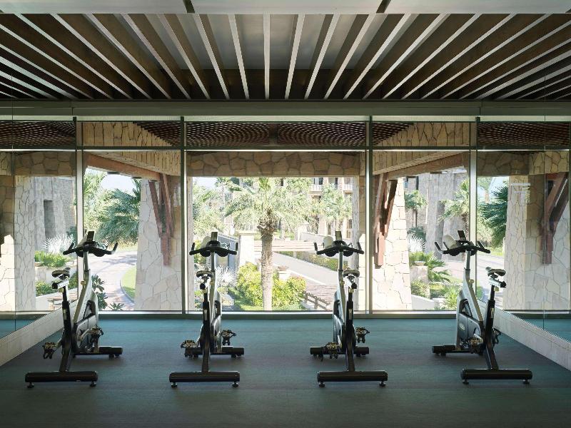 Sofitel Dubai The Palm Resort & Spa - Genel