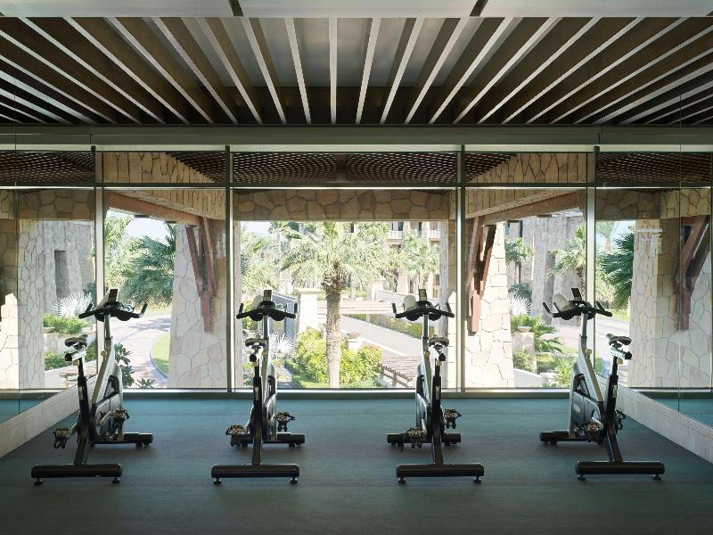 Sofitel Dubai The Palm Resort & Spa - Genel