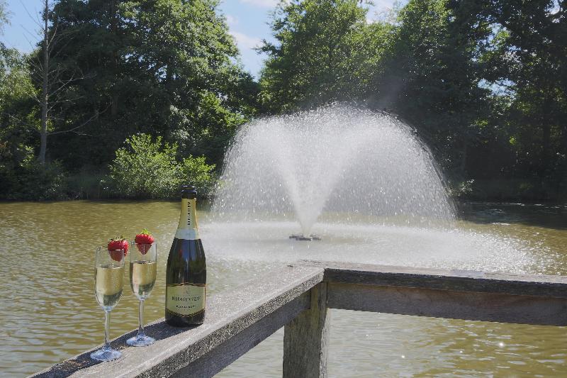 Ashdown Park Hotel & Country Club - Genel