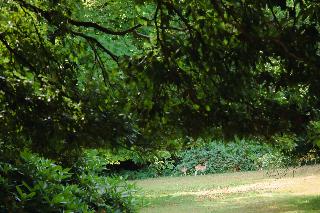 Ashdown Park Hotel & Country Club fotoÄŸrafÄ±