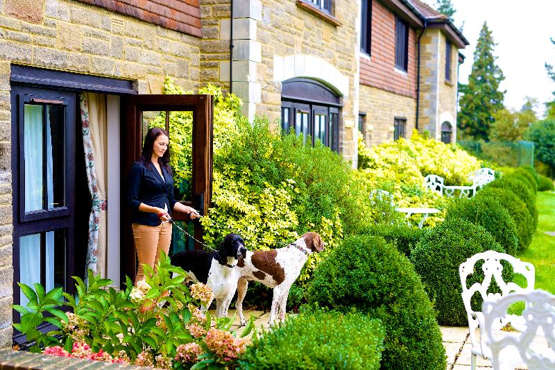 Ashdown Park Hotel & Country Club - Oda