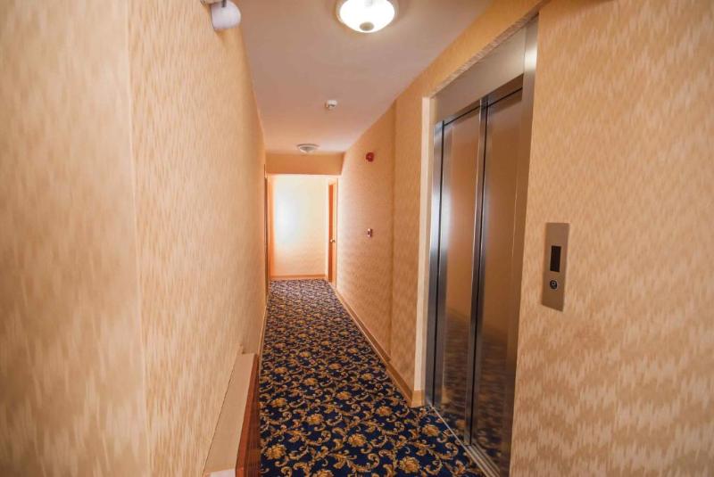 Timeks Hotel Sultanahmet - Genel